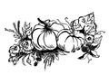 Image Not Available